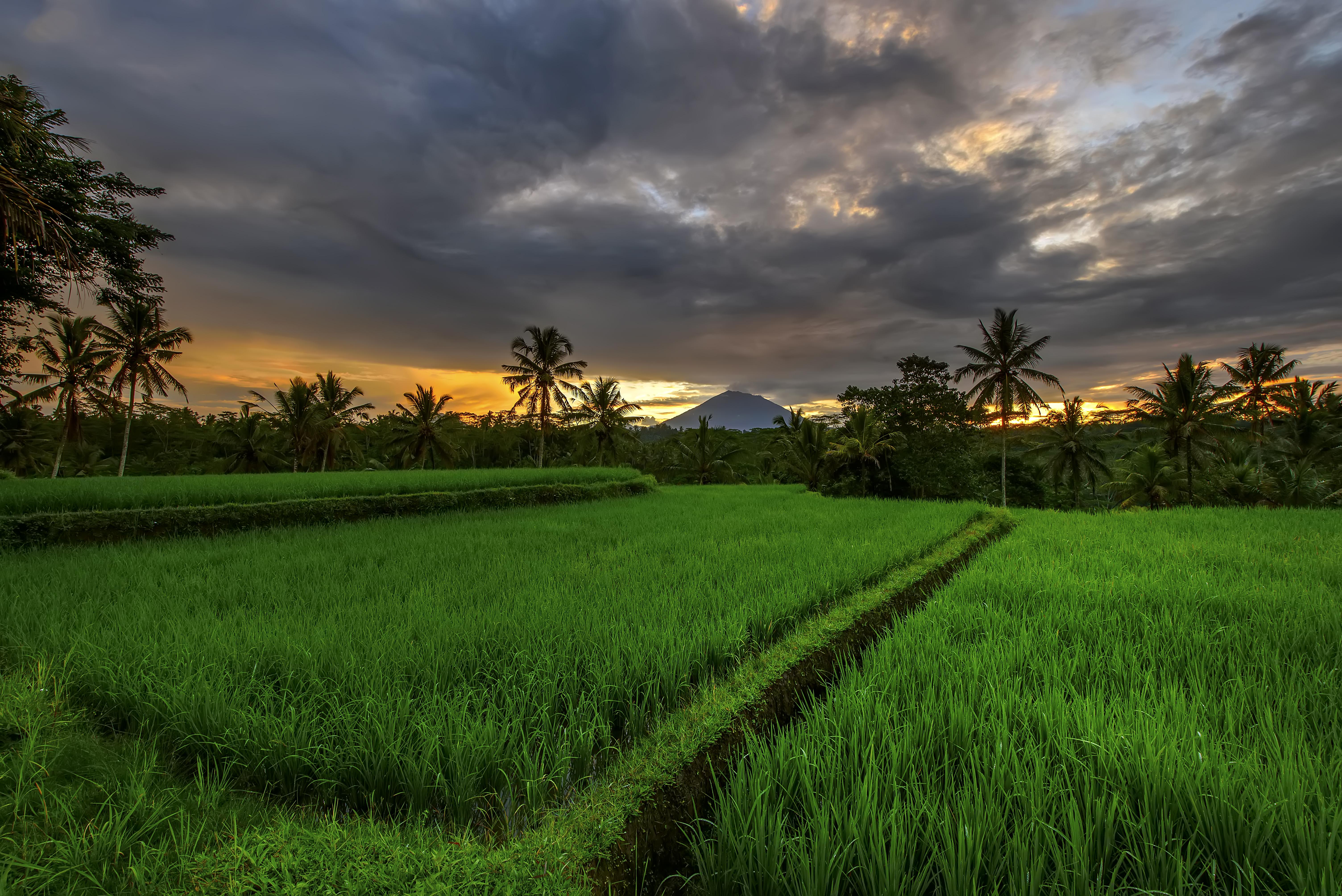 Resort Kawi A Pramana Experience 4*